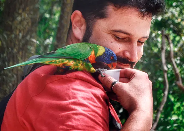 Como garantir que seu pet nasceu em um ambiente saudável