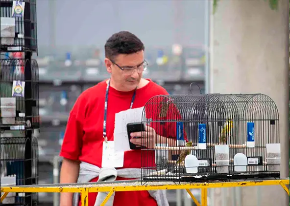 Expoaves 2026 abre ao público a exposição das aves campeãs nesta sexta e sábado